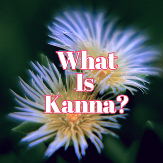 What Is Kanna?