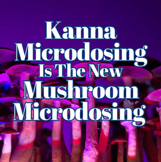 Why Kanna Microdosing Is The New Mushroom Microdosing